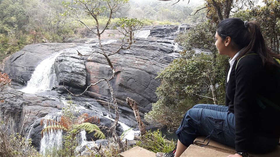 Photo of A walk through Horton Plains, Sri Lanka 14/25 by Bee The Musafir