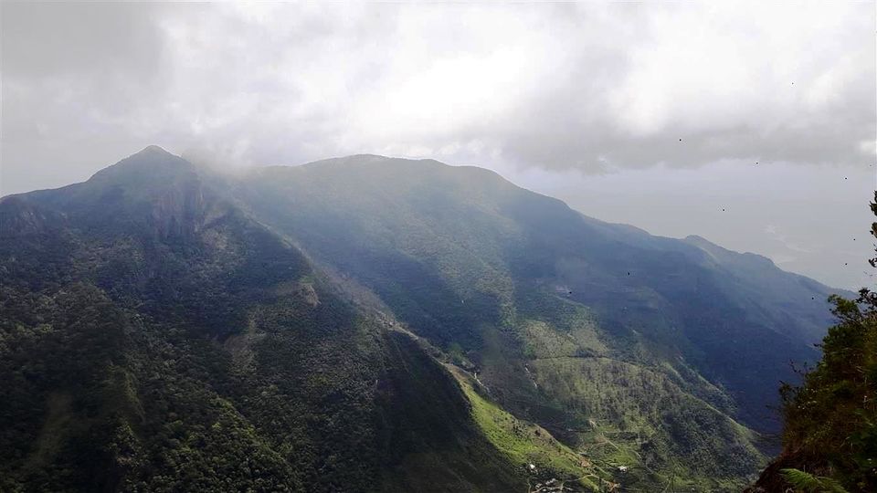 Photo of A walk through Horton Plains, Sri Lanka 18/25 by Bee The Musafir