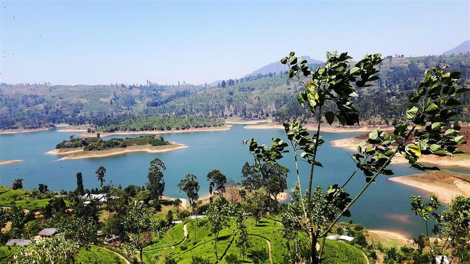 Photo of Exploring the tea trail of Sri Lanka 2/22 by Bee The Musafir