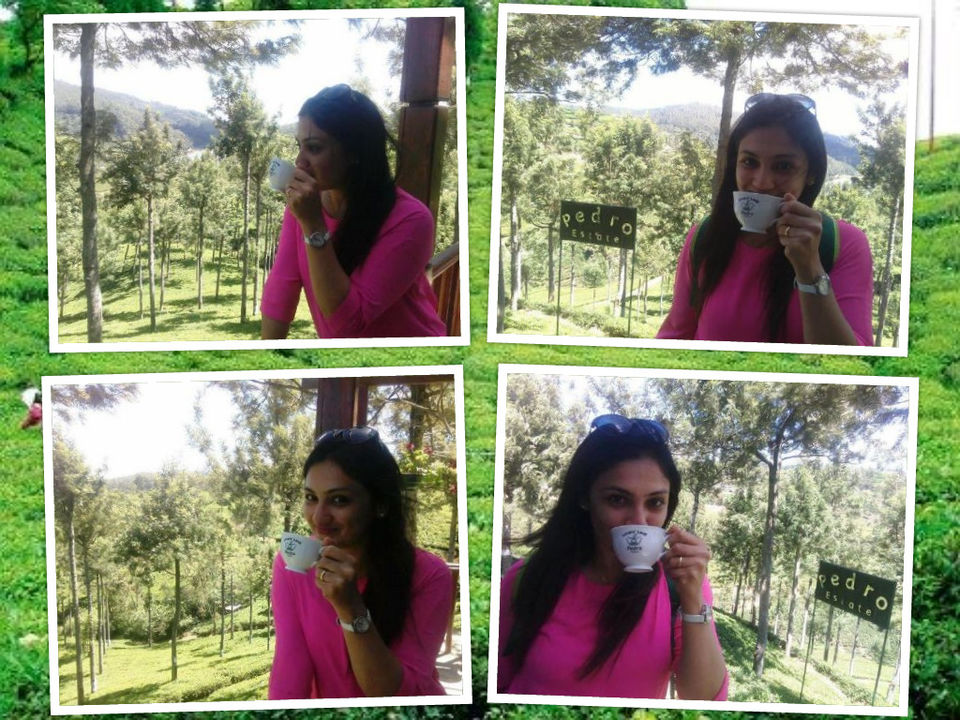 Photo of Exploring the tea trail of Sri Lanka 13/22 by Bee The Musafir