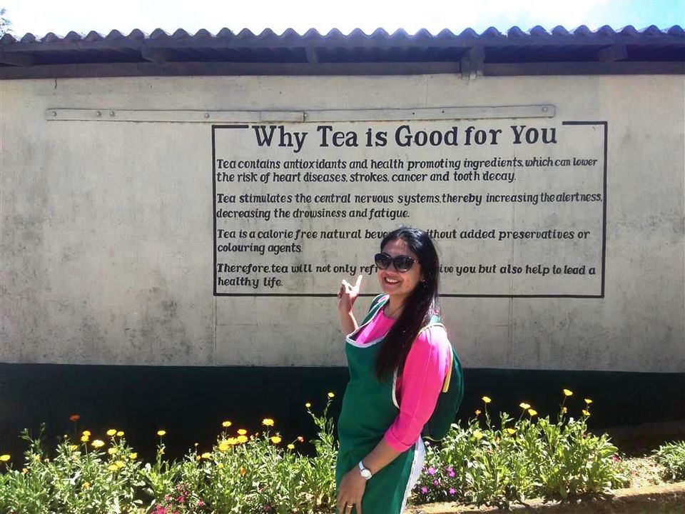 Photo of Exploring the tea trail of Sri Lanka 14/22 by Bee The Musafir