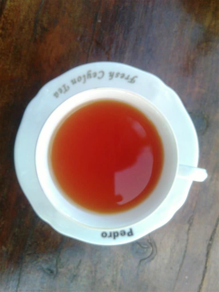 Photo of Exploring the tea trail of Sri Lanka 21/22 by Bee The Musafir