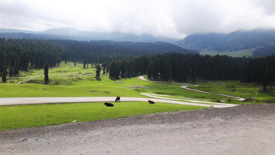 Photo of The Valley of Milk – Doodhpathri, Kashmir 3/12 by Bee The Musafir