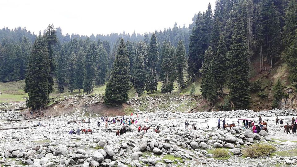 Photo of The Valley of Milk – Doodhpathri, Kashmir 6/12 by Bee The Musafir