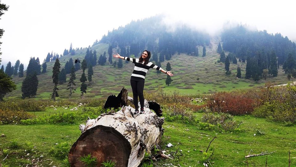Photo of The Valley of Milk – Doodhpathri, Kashmir 7/12 by Bee The Musafir