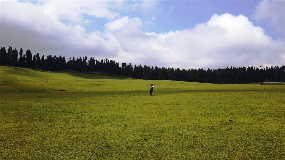 Photo of The Valley of Milk – Doodhpathri, Kashmir 8/12 by Bee The Musafir