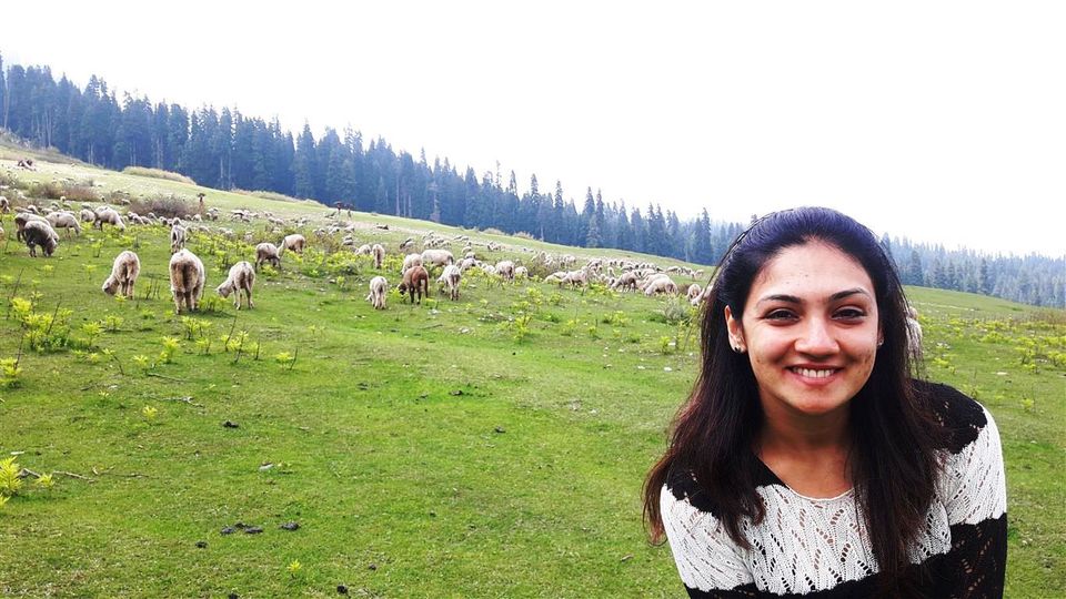 Photo of The Valley of Milk – Doodhpathri, Kashmir 9/12 by Bee The Musafir