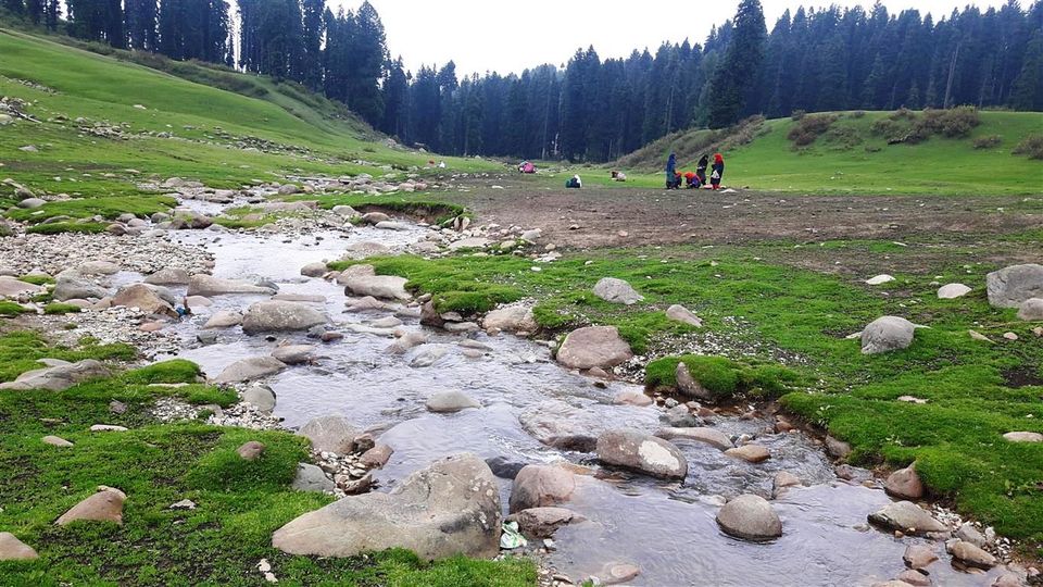 Photo of The Valley of Milk – Doodhpathri, Kashmir 10/12 by Bee The Musafir