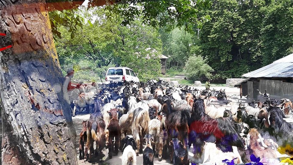 Photo of Achabal, Kokernag, Verinag – my South Kashmir diary Part 2 22/23 by Bee The Musafir