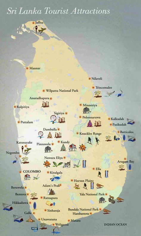 Photo of Traveling to Sri Lanka? These tips will make your trip smoother and cheaper 6/6 by Bee The Musafir