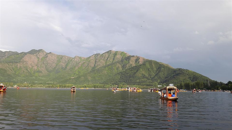 Photo of Kashmir Roundup: How I made the most of my 8-day trip! 4/17 by Bee The Musafir