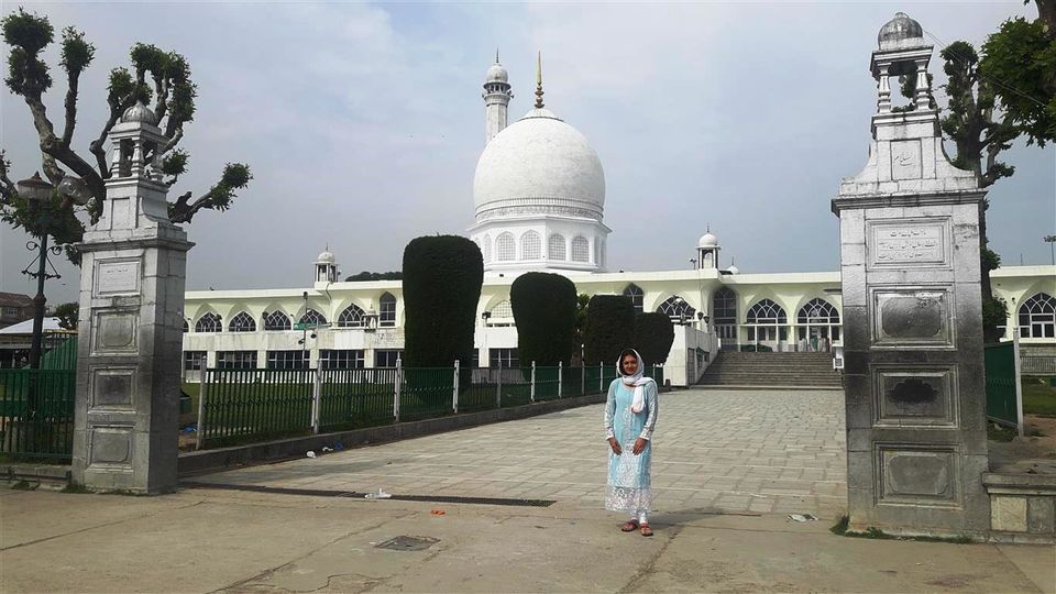 Photo of Kashmir Roundup: How I made the most of my 8-day trip! 16/17 by Bee The Musafir