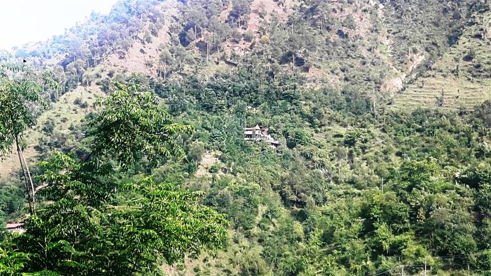 Photo of The best eco homestay for wanderlusts – the Himalayan Orchard Huts, Chamba 3/15 by Bee The Musafir