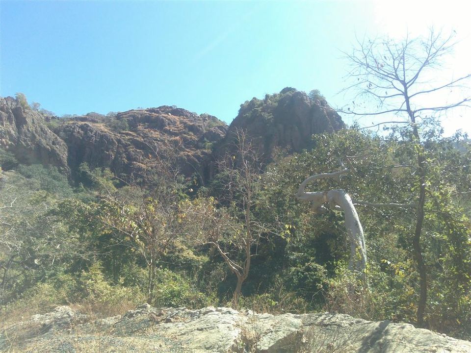 Photo of Asia’s largest natural caves are in India, here… 4/20 by Bee The Musafir
