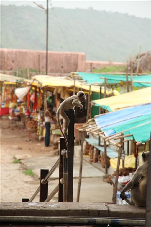 Photo of Ramtek - A perfect monsoon destination in central India 31/36 by Bee The Musafir