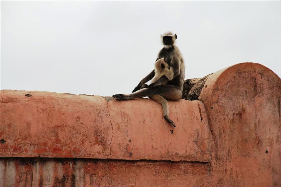 Photo of Ramtek - A perfect monsoon destination in central India 33/36 by Bee The Musafir