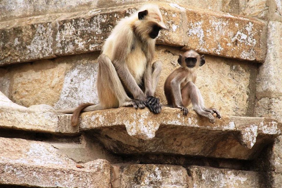 Photo of Ramtek - A perfect monsoon destination in central India 34/36 by Bee The Musafir
