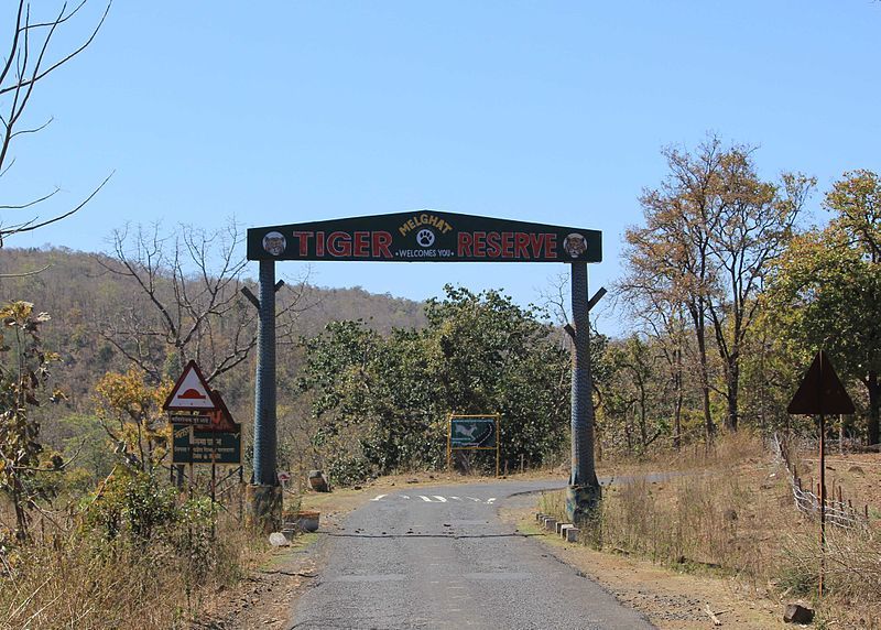 Photo of Planning a wildlife safari? Visit Nagpur, the gateway to six tiger reserves 2/2 by Bee The Musafir