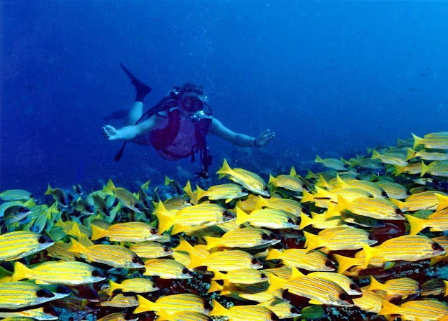 Photo of Places to visit on your Maldives holiday 3/10 by Anuja Mangle Fozdar