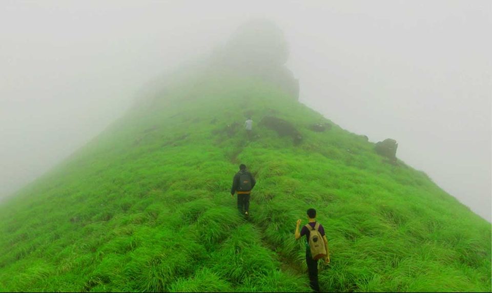 Photo of Ranipuram: where nature paints the shades of greenery in the hill station 1/3 by GoGeo Holidays