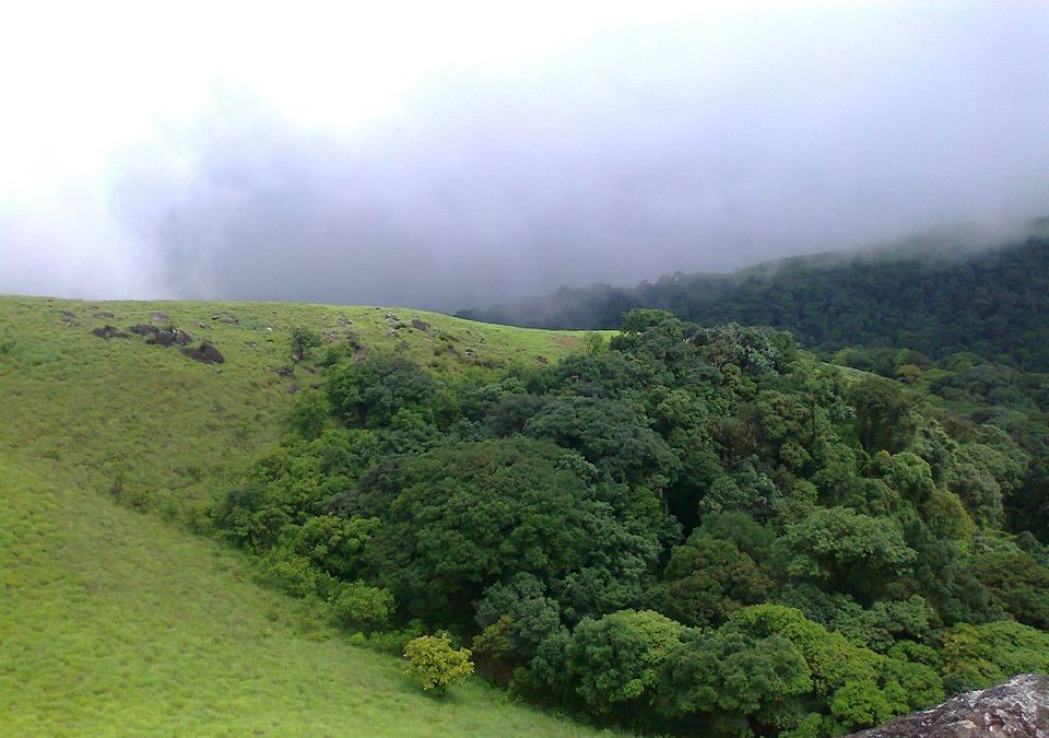 Photo of Ranipuram: where nature paints the shades of greenery in the hill station 3/3 by GoGeo Holidays