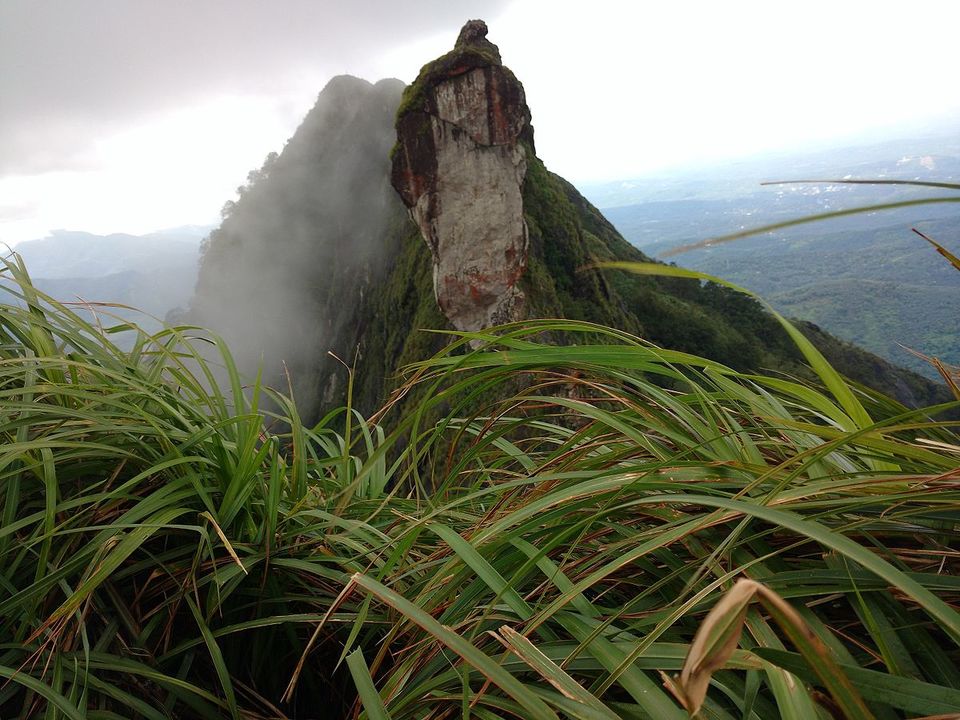 Photo of Stroll onto the bushy peaks of Illickal Kallu 1/3 by GoGeo Holidays