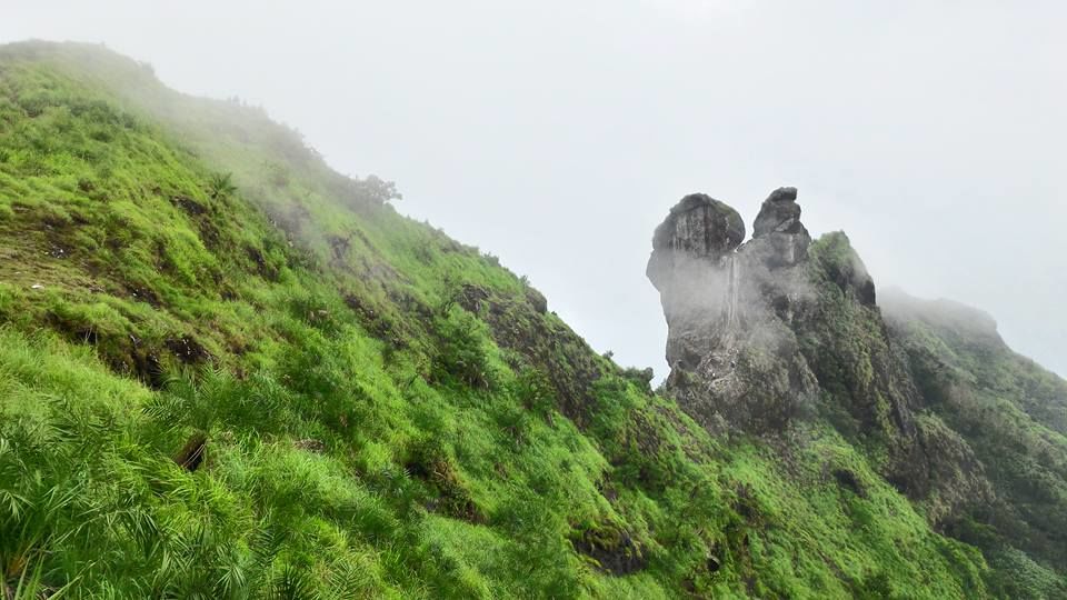Photo of Stroll onto the bushy peaks of Illickal Kallu 2/3 by GoGeo Holidays