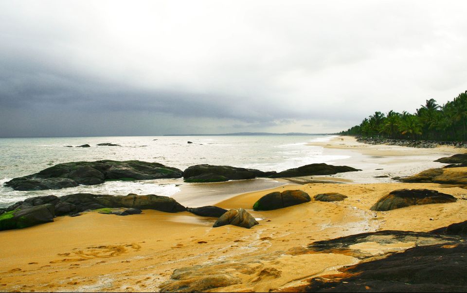 Photo of Boundless journey with the family in Kerala. 4/5 by GoGeo Holidays