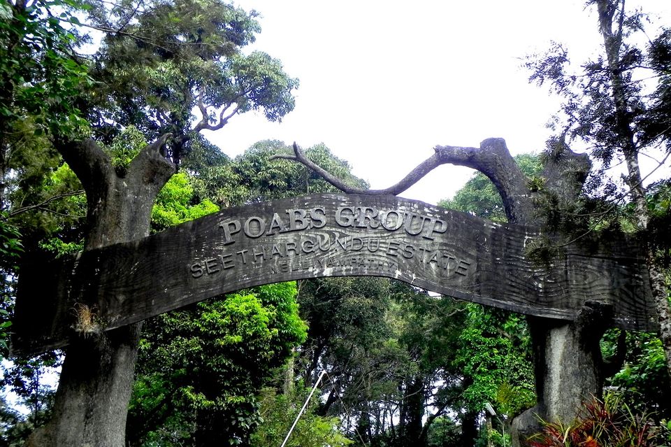 Photo of Alluring Paradise Of Palakkad: A Walk Through The Pristine Region. 4/5 by GoGeo Holidays
