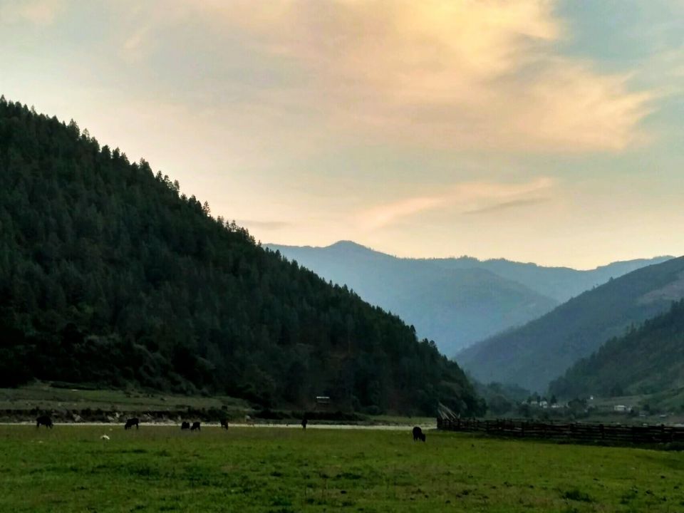 Photo of A roadtrip to land of undulating hills - North East India by Khushbu Gianani