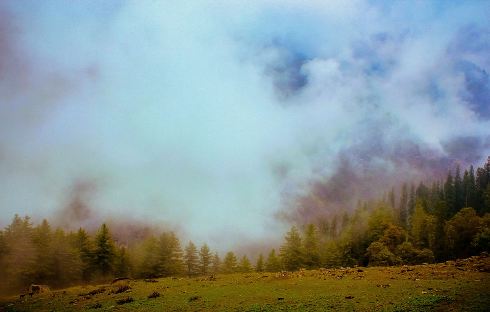 Photo of Backpacker's heaven in North India - Himachal Pradesh by Khushbu Gianani