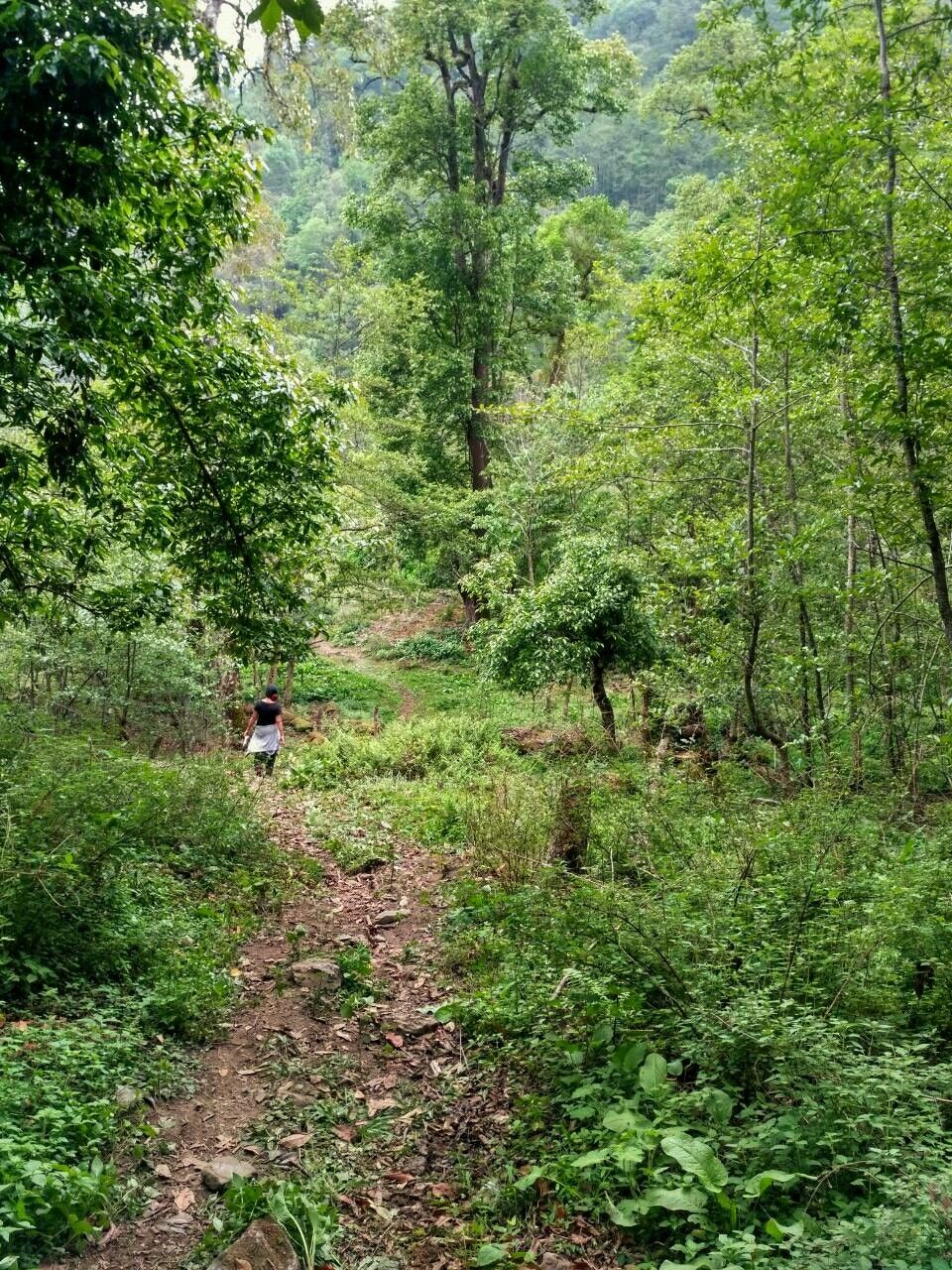 Photo of A roadtrip to land of undulating hills - North East India 16/23 by Khushbu Gianani