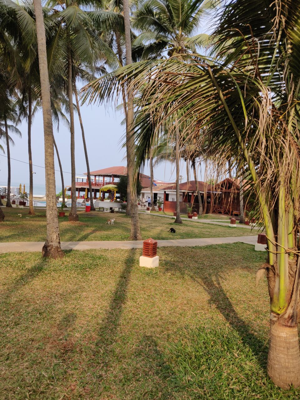 Photo of La Cabana Beach & Spa, Mandrem, Goa, India by Gl Poornima