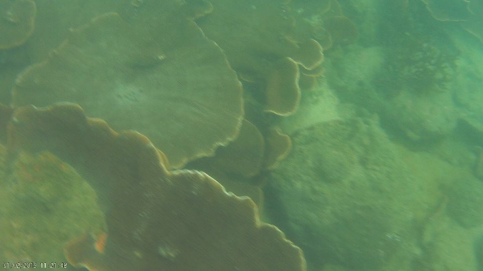 Photo of Bat Island by Gl Poornima