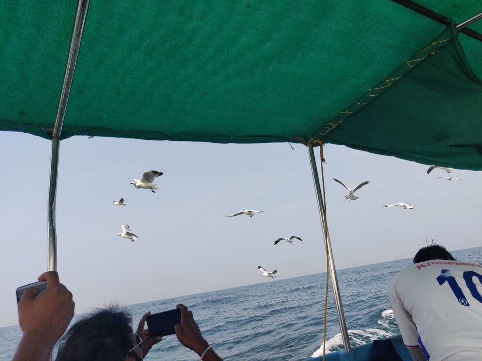 Photo of Bat Island by Gl Poornima