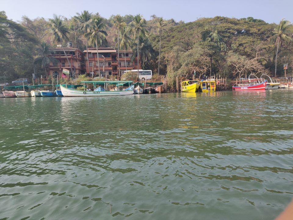 Photo of Bat Island by Gl Poornima