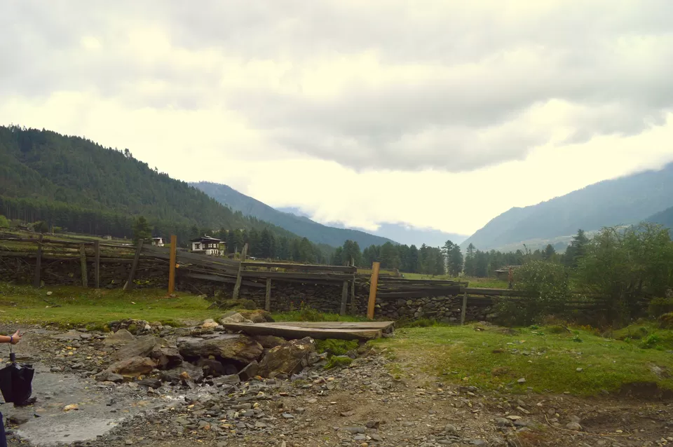 Photo of Phobjikha Valley, Wangdue Phodrang, Bhutan by Dhruv Kaicker