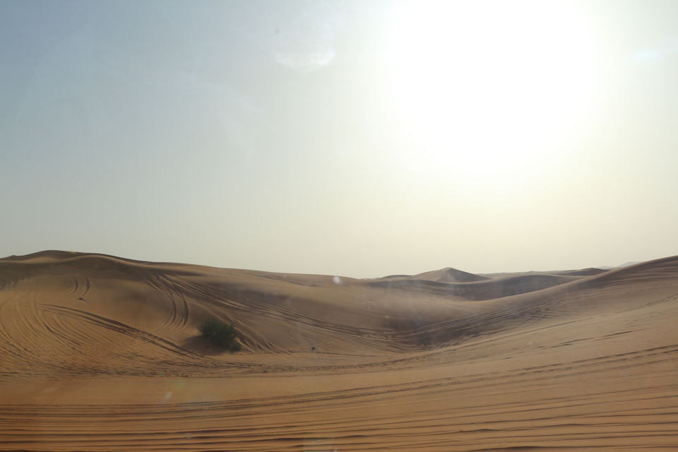 Photo of Adventurous Dubai !!! 2/15 by Garima Sharma