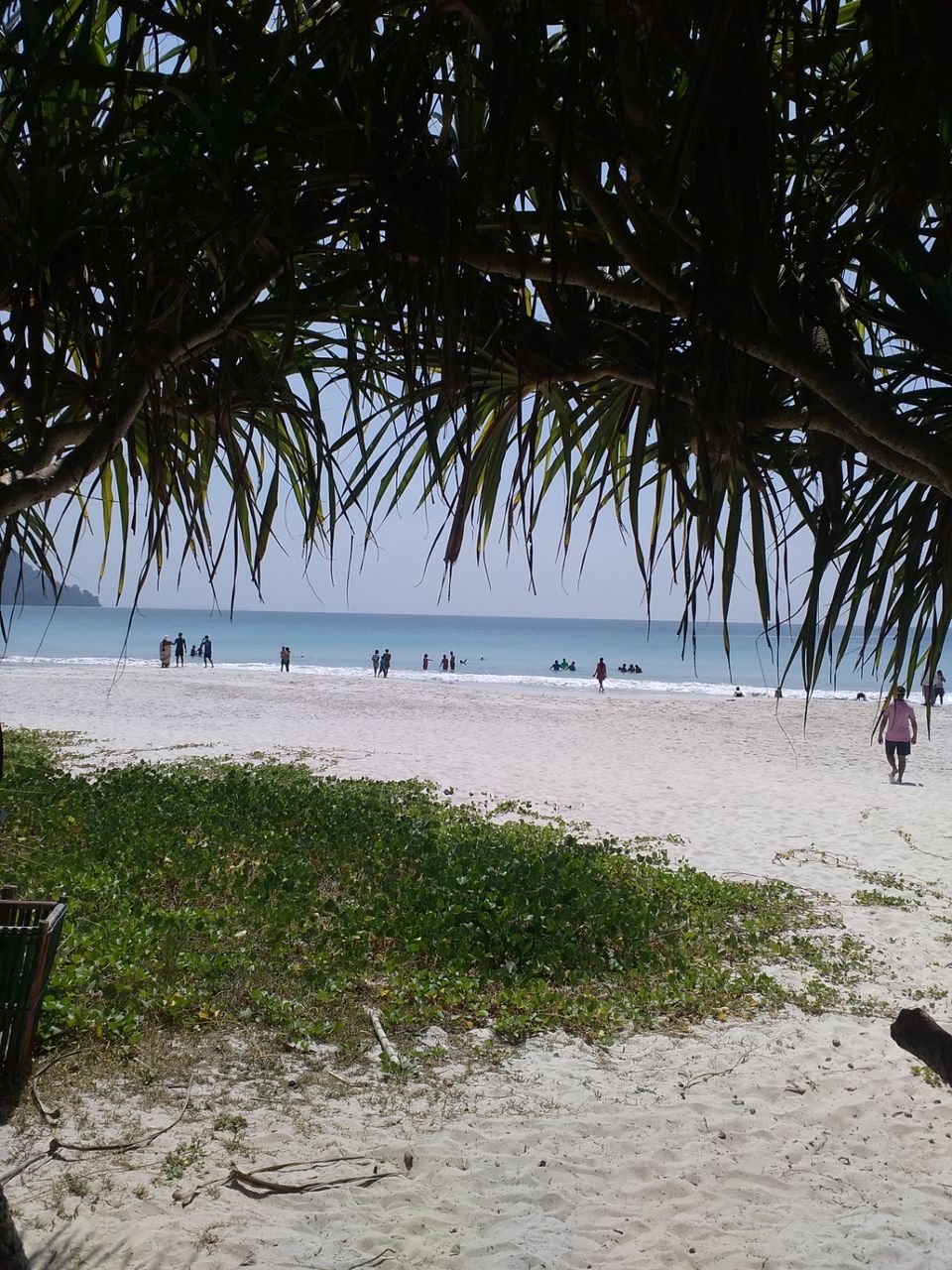 Photo of sia's Best Beach is in India, Look no further - Radhanagar Beach, Havelock Island. 16/22 by Karim S A