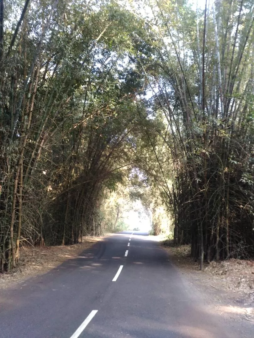 Photo of Get lost in the lap of River Godavari's Paapi Kondalu in Andhra Pradesh - A Visitor's Delight by Karim S A