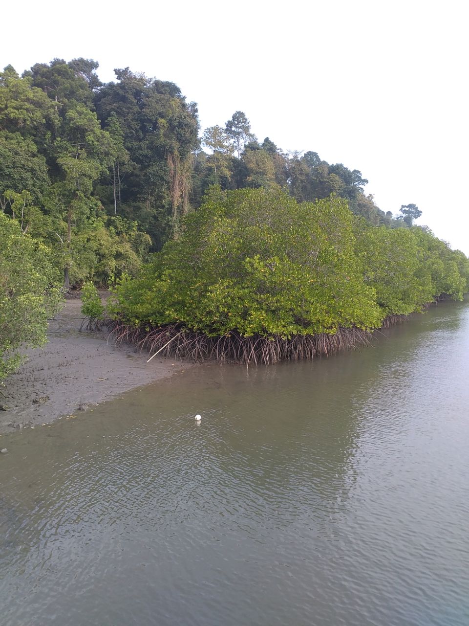 Photo of Middle Strait Jetty, South Andaman, Andaman and Nicobar Islands, India by Karim S A
