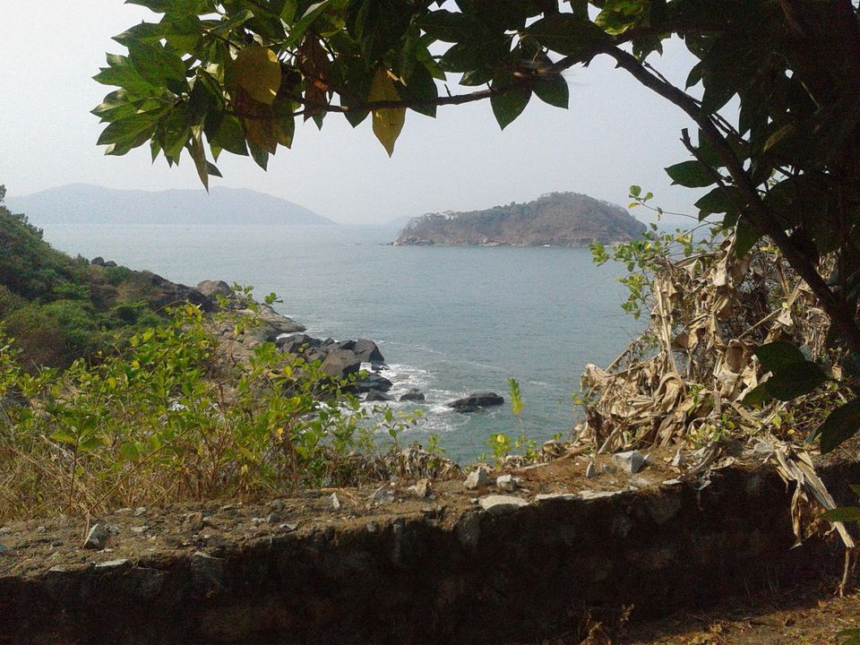 Photo of A Sea full of Dolphins - Karwar (Karnataka) and Paloem Beach, Conacona, Goa 2/6 by Karim S A