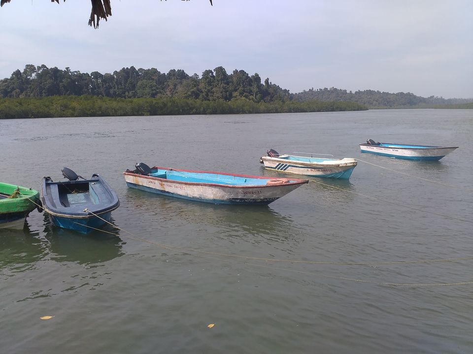 Photo of Andaman & Nicobar Islands (Baratang Island) - on the other side of Middle Strait by Karim S A