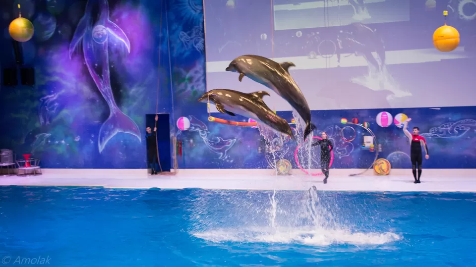 Photo of Dubai Dolphinarium - Bur Dubai - Dubai - United Arab Emirates by Harsh Mundra