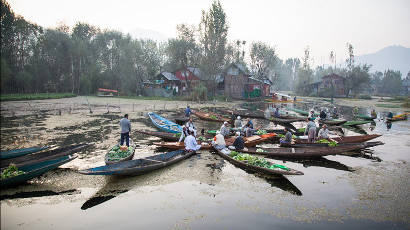 Photo of Clichéd Yet Classic Must Do Things While In Kashmir 3/5 by Tanishka Goel