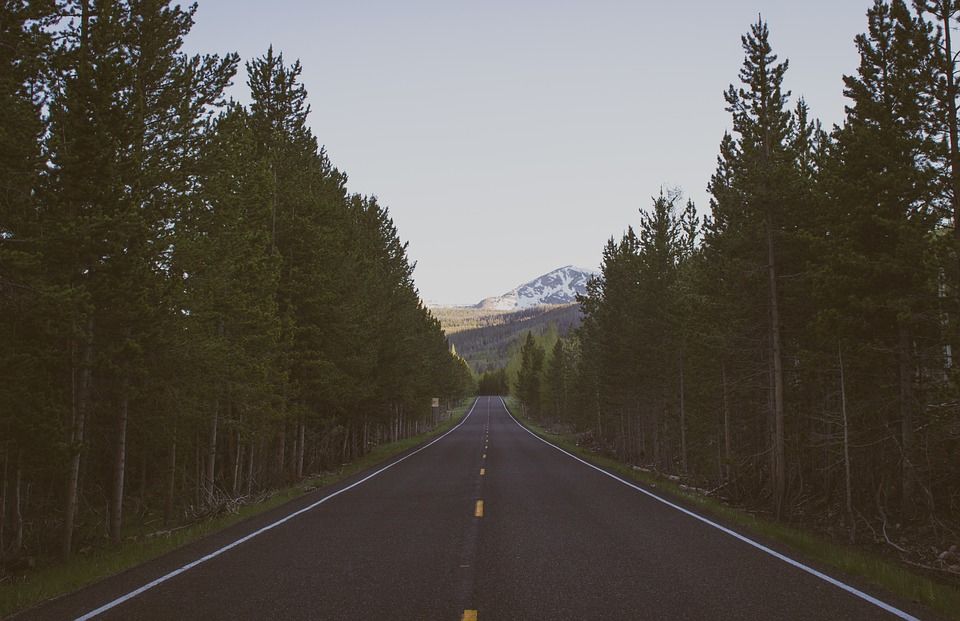 Photo of An International Driving License Is An Essential Companion On A Road Trip And Here’s How To Get It 3/4 by Tanishka Goel