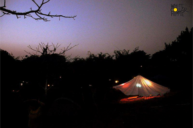 Photo of Camp Under The Stars With Bonfire And BBQ At This Camp Site Less Than Two Hours From Mumbai by Tanishka Goel