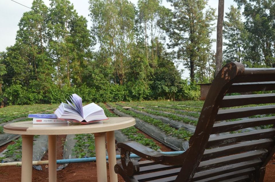 Photo of This Weekend Getaway With 25 Reader's Spots Is Every Reader's Paradise by Tanishka Goel