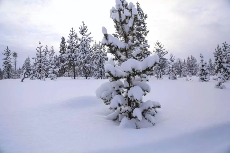 Photo of Saariselkä, Finland by Deepa Subramanian