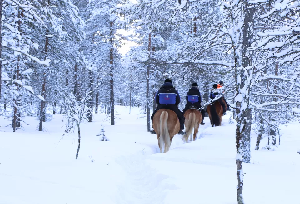 Photo of Kakslauttanen I, Sodankylä, Finland by Deepa Subramanian